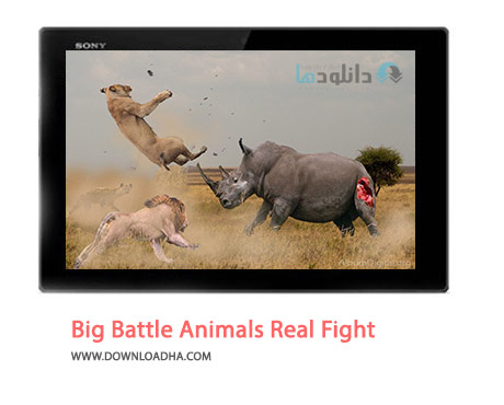 Big-Battle-Animals-Real-Fight-Cover