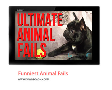 Funniest-Animal-Fails-Cover