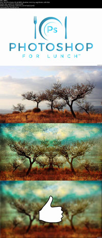 Photo-Texture-Collage-Training-Screenshot