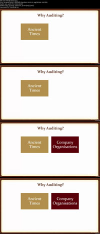 Auditing-Basics-Professional-Screenshot
