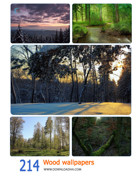214-Wood-wallpapers-Cover