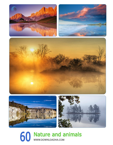60-Nature-and-animals-Cover
