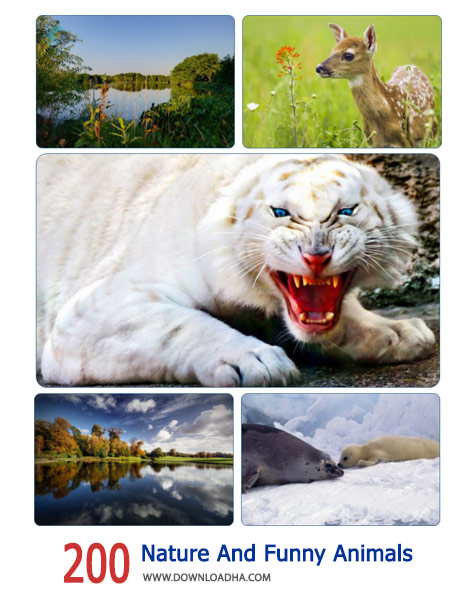200-Nature-And-Funny-Animals-Cover