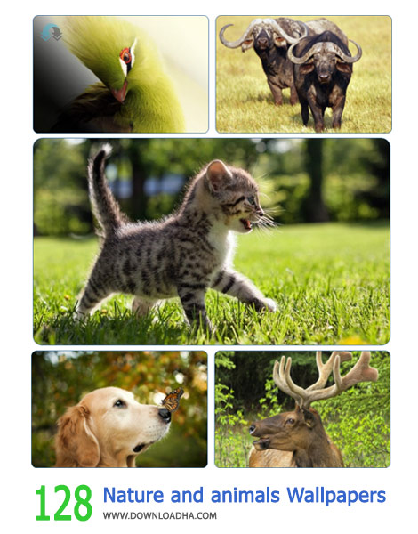 128-Nature-and-animals-Wallpapers-Cover