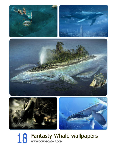 18-Fantasty-Whale-wallpapers-Cover