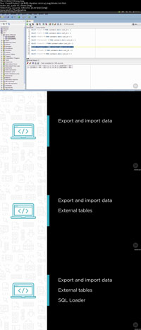 Importing-and-Exporting-Oracle-Data-for-Developers-Screenshot
