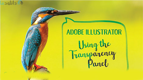 Adobe-Illustrator-Using-the-Transparency-Panel-Cover