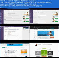 WordPress-Marketing