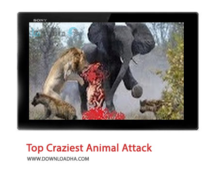 Top-Craziest-Animal-Attack-Cover