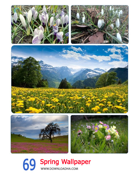 69-Spring-Wallpaper-Cover