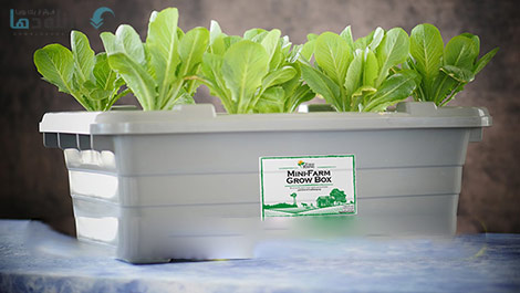 Aquaponics-Food-Rising-Mini-Farm-Cover