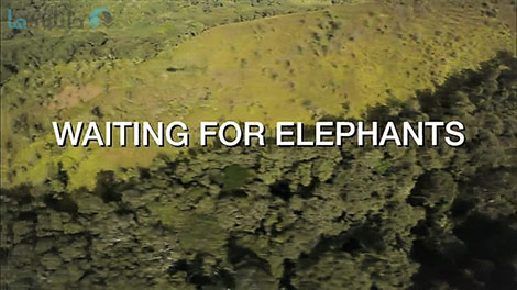 دانلود-مستند-Bonne-Pioche-TV-Waiting-for-Elephants