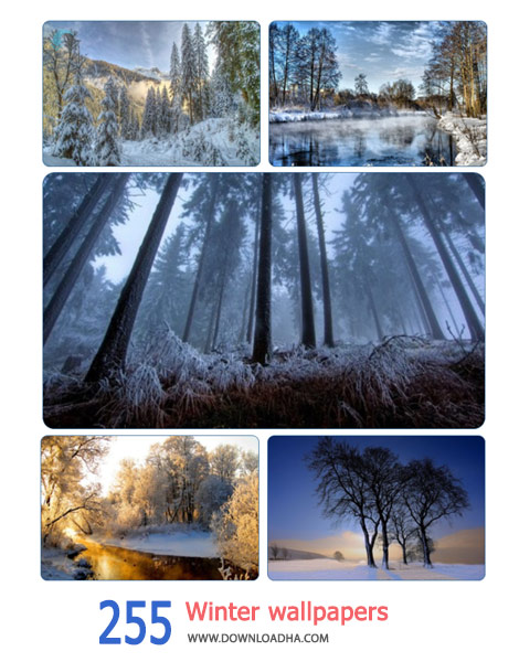 255-Winter-wallpapers-Cover