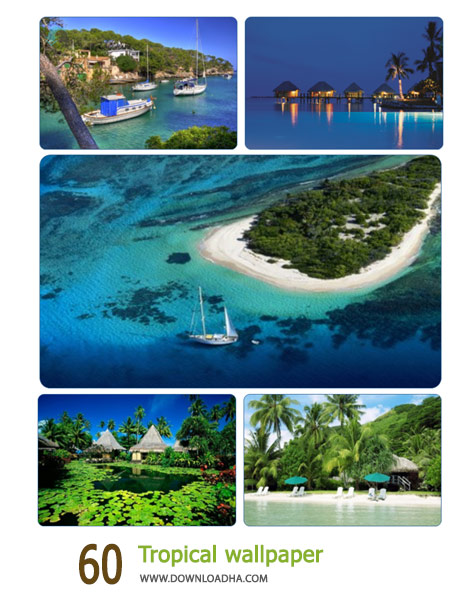 60-Tropical-wallpaper-Cover