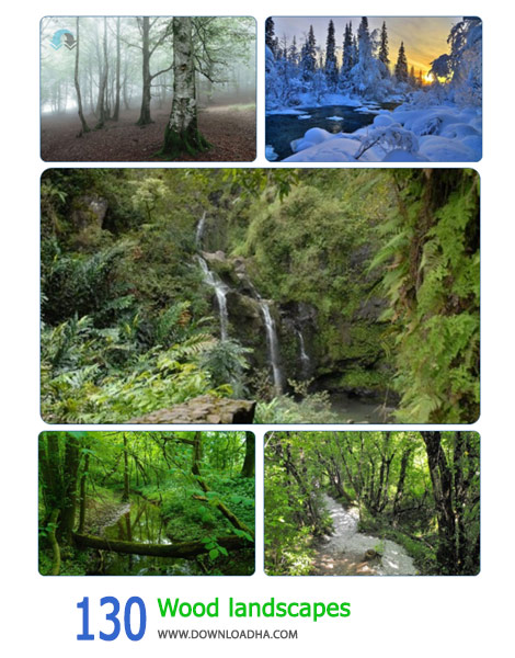 130-Wood-landscapes-Cover