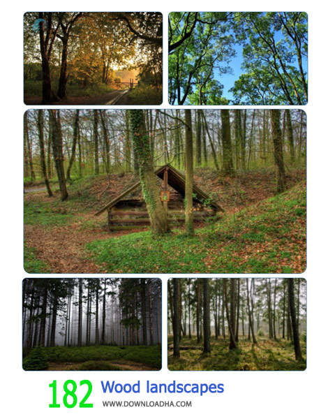 182-Wood-landscapes-Cover