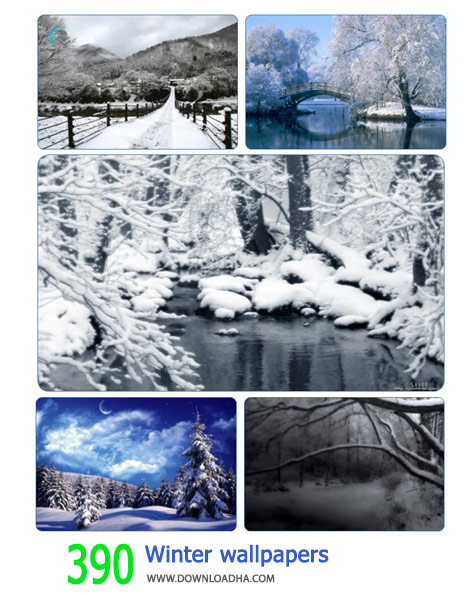 390-Winter-wallpapers-Cover