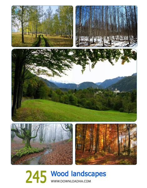245-Wood-landscapes-Cover