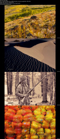 Professional-Outdoor-and-Nature-Photography-Getting-Started