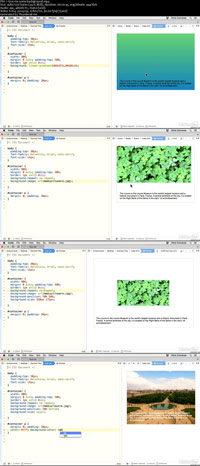 CSS-Shorts-Video-Training