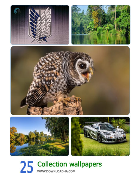 25-Collection-wallpapers-Cover