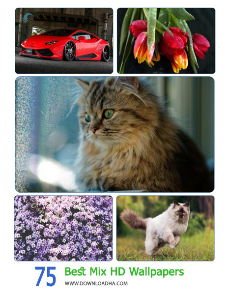 75-Best-Mix-HD-Wallpapers-Cover