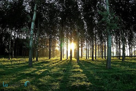 Professional-Outdoor-&-Nature-Photography-Cover
