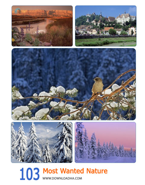 103-Most-Wanted-Nature-Cover