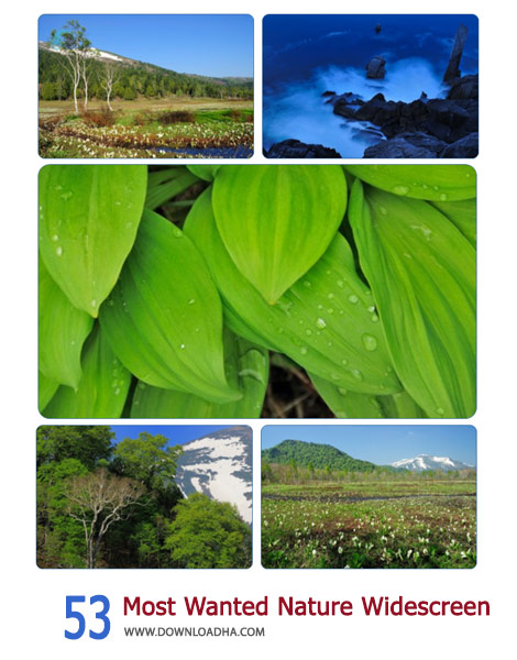 53-Most-Wanted-Nature-Widescreen-Cover