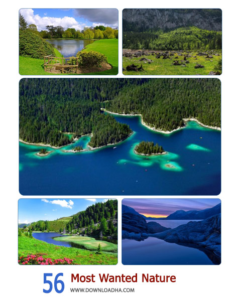 56-Most-Wanted-Nature-Cover
