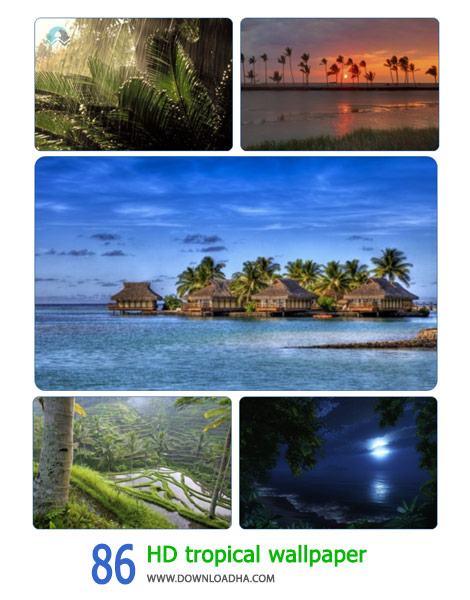 86-HD-tropical-wallpaper-Cover