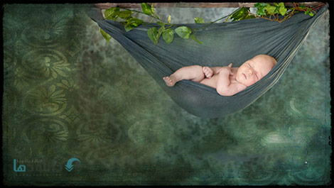 Bellies-and-Babies-Photography-Cover