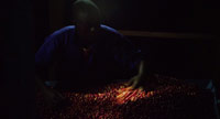 دانلود-مستند-Avocados-Coconuts-A-Film-about-Coffee