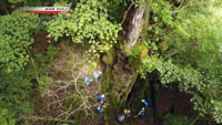 دانلود-مستند-NHK-Legendary-Giant-Tree-of-Yakushima