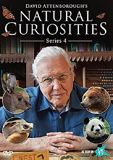دانلود-مستند-Natural-Curiosities