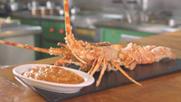 دانلود-مستند-Food-Paradise-International