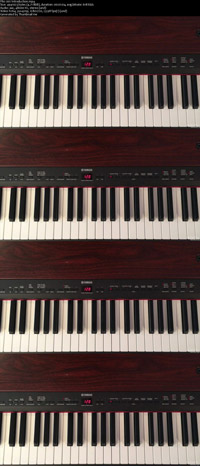 دانلود-فیلم-آموزش-How-to-Play-Piano-Your-First-Lesson