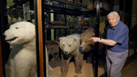 دانلود-مستند-Natural-Curiosities