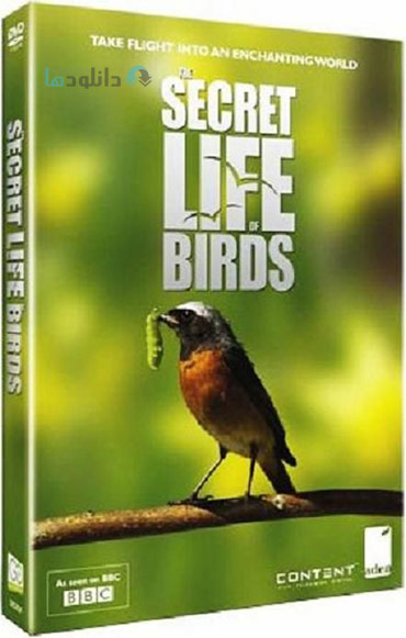 دانلود-مستند-BBC-Secret-Life-of-Birds