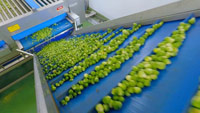 دانلود-مستند-BBC-Inside-the-Factory-Christmas
