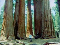دانلود-مستند-BBC-The-Living-Planet