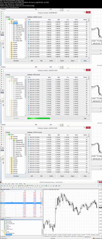 دانلود-فیلم-آموزش-Forex-Trading-How-To-Optimize-Expert-Advisors-in-MT4