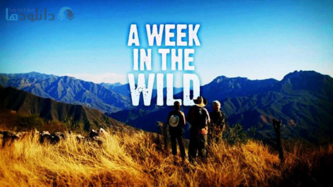 دانلود-مستند-A-Week-in-the-Wild