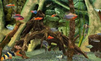 دانلود-Fish-Farm-3