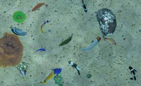 دانلود-Fish-Farm-3