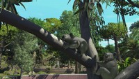 اسکرین-شات-بازی-Zoo-Tycoon-Ultimate-Animal-Collection