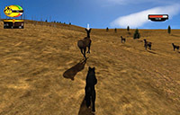 Wolfquest-screenshots