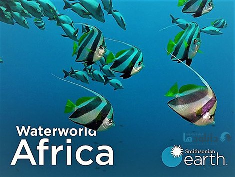 کاور-Waterworld-Africa