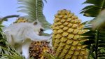 اسکرین-شات-Africas-Hidden-Kingdoms
