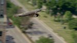 اسکرین-شات-Super-Fast-Falcon